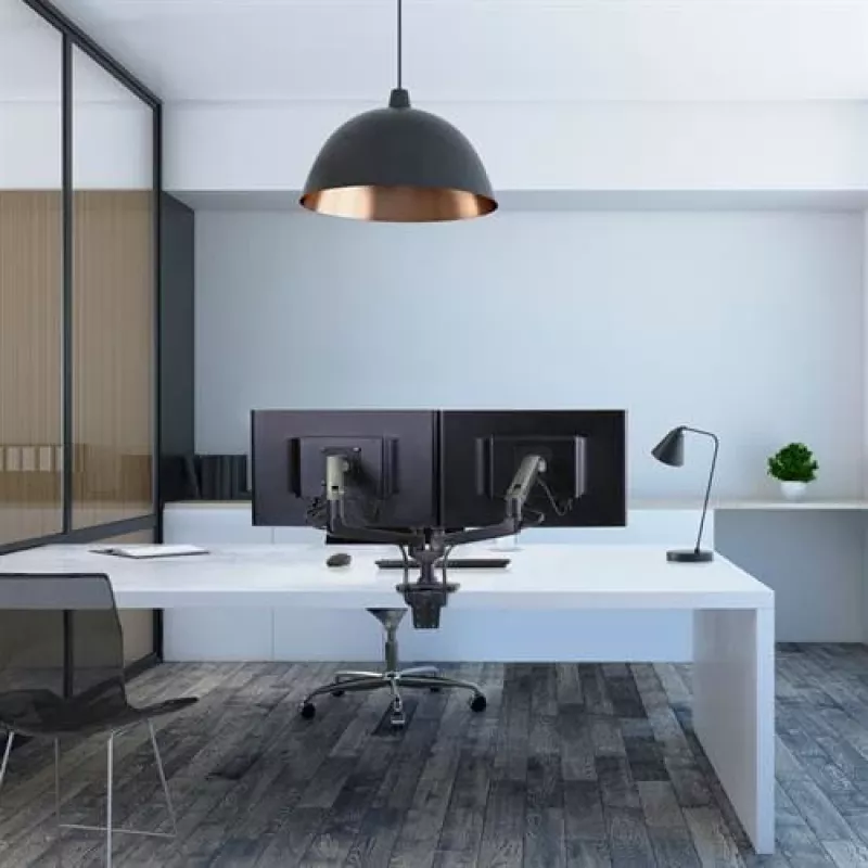 Monitorinis laikiklis Ergotron LX serija 45-245-224