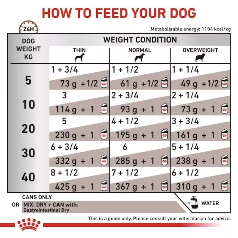 Royal Canin Gastro Intestinal 200 g konservai suaugusiems šunims – virškinimo palaikymas su paukštiena
