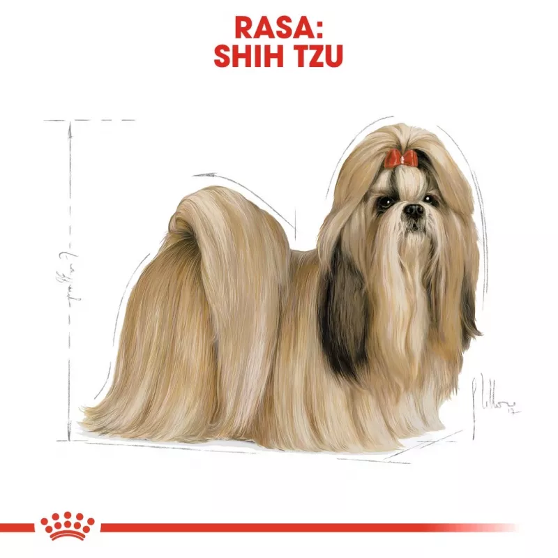 Sausas šunų ėdalas Royal Canin Shih Tzu Adult 1.5 kg – paukštiena