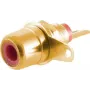 RCA jungtis ShiverPeaks BS52091-R Gold Male, auksuota, vyriška
