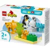LEGO DUPLO 10442 Laukiniai gyvūnai: Pingvinai ir Liūtai