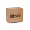 Zebros spausdinimo galvutės valymo rinkinys P1046696-099