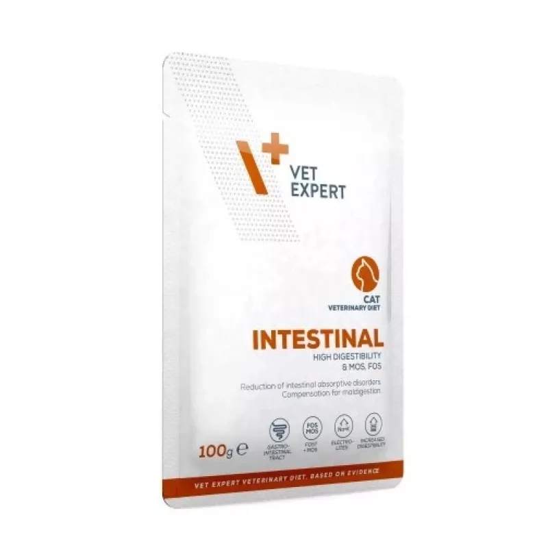 VetExpert Veterinary Diet Intestinal šlapias maistas katėms 100 g