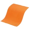 Valymo šluostė Vileda Microfibre 1 vnt.