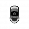 Pelytė Endgame Gear XM2w 4k Wireless