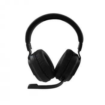 Ausinės Baracuda BGH-011 Pearl Black