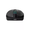 Pelė Baracuda BGM-121 Turtle Black USB