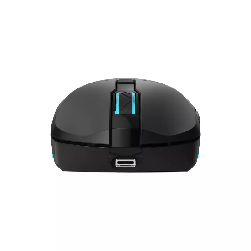 Pelė Baracuda BGM-121 Turtle Black USB