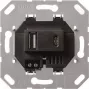 Gira USB įtampos šaltinis 2-jų Tipas A/C įdėklas 236900