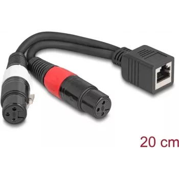 DeLOCK 88178 garso laidas 0,2 m RJ-45 – 2 x XLR (3 kontaktų) juodas