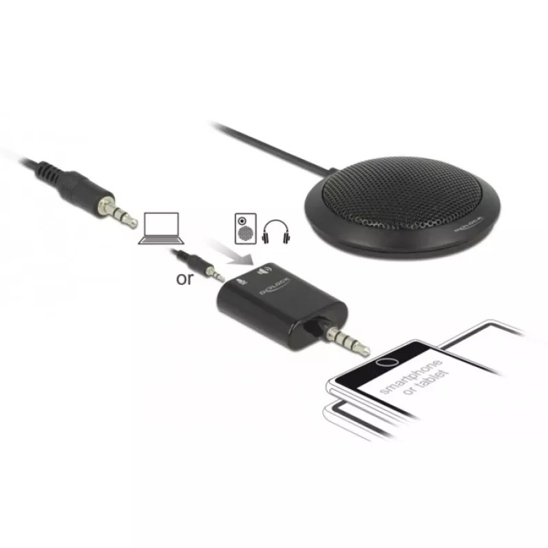 Stalinis mikrofonas DeLOCK 65873 Juodas