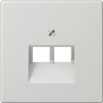 JUNG LS 969-2 UA LG - Pilka - Termoplastas - RJ45 kištukinis lizdas