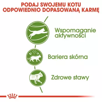 Royal Canin Outdoor sausas kačių maistas 2 kg