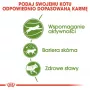 Royal Canin Outdoor sausas kačių maistas 2 kg