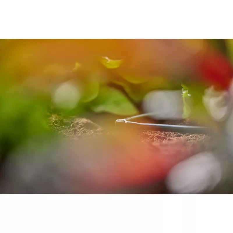GARDENA L formos jungtis lašelinio laistymo sistemai 4,6 mm (3/16 inch) plastikas