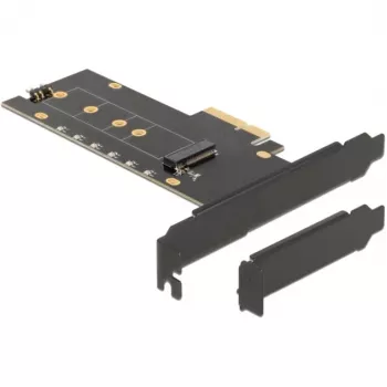 DeLOCK 89013 vidinė M.2 PCIe kortelė su aušintuvu ir LED apšvietimu