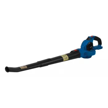 Pūstuvas Blaupunkt CB2010 belaidis