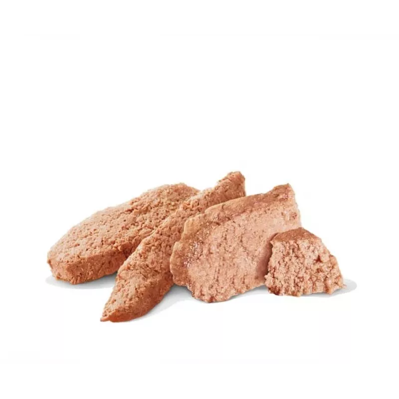 Šlapias šunų maistas Royal Canin Gastrointestinal High Fibre Loaf 200 g — suaugusiems šunims, mėsos skonis, virškinimo palaikymas