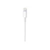 Kabelis Apple USB-C į Lightning (1 m)