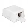 Kištukinė dėžutė DeLOCK 86235 balta 65 mm x 47 mm x 29 mm