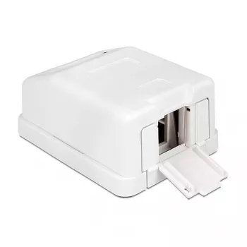 Kištukinė dėžutė DeLOCK 86235 balta 65 mm x 47 mm x 29 mm
