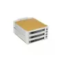 Fantec SNT-BA2131-2 - S-ATA 2x 13,30 cm (5,25) 3x1 HDD korpusas smėlio spalvos (2007)