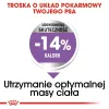 Sausas šunų ėdalas Royal Canin MINI Sterilised – suaugusiems mažų veislių šunims 8 kg, vištiena, dantų priežiūra, svorio kontrolė