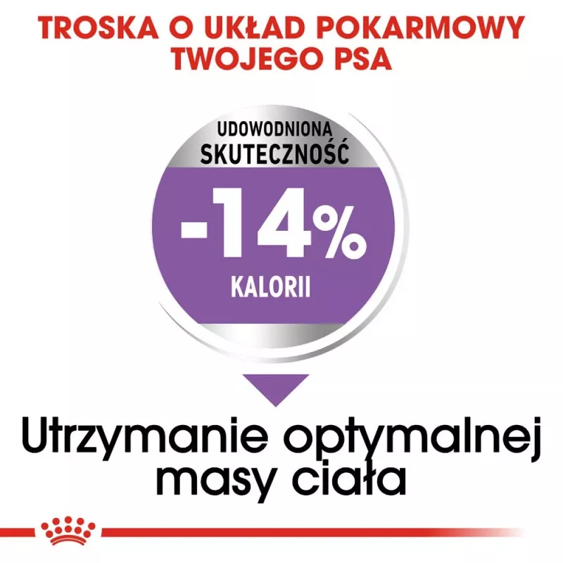 Sausas šunų ėdalas Royal Canin MINI Sterilised – suaugusiems mažų veislių šunims 8 kg, vištiena, dantų priežiūra, svorio kontrolė