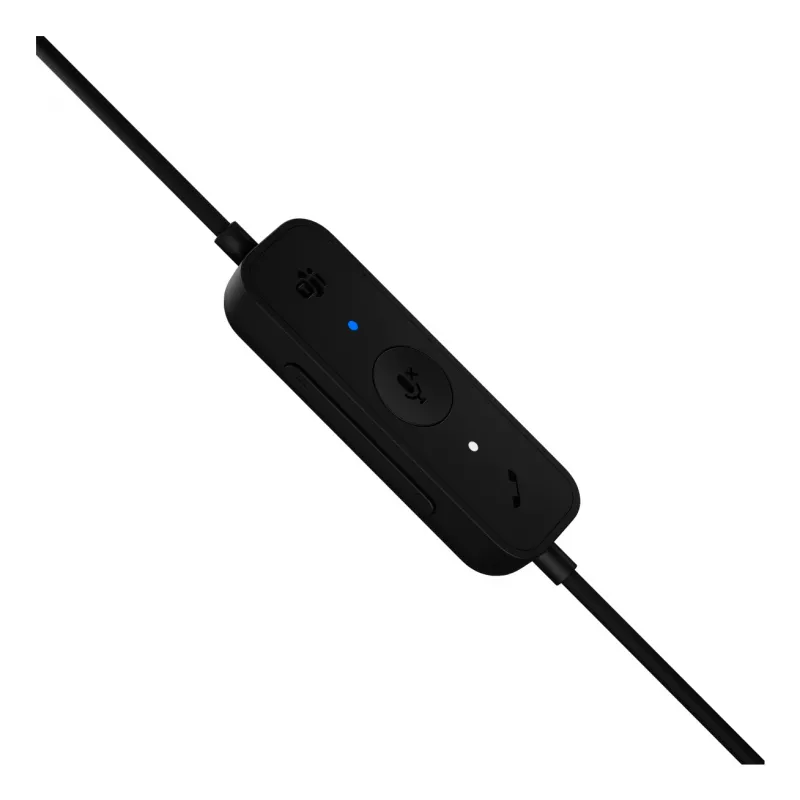Ausinės Logitech H570e