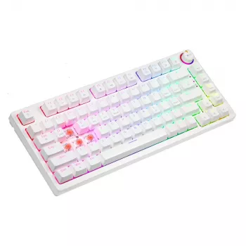 Belaidė mechaninė klaviatūra SAVIO PHENIX WHITE, Gateron Red Pro, ABS