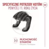 Šlapias kačių ėdalas Royal Canin FHN Ageing 11+ Gravy 12×85 g – visavertis ėdalas senjorams