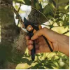 Fiskars Plus SmartFit P541 Sodo apžvalginės žirklės Juoda, Oranžinė