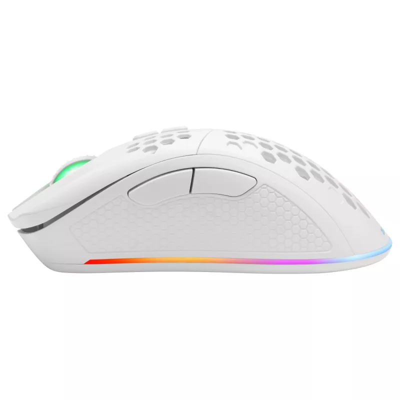 Belaidė žaidimų pelė Deltaco GAM-120-W RF belaidė USB Type-C
