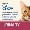 Purina Cat Chow Urinary Tract Health sausas ėdalas katėms 1,5 kg Suaugę Vištiena