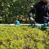 Makita DUN600L Dvigubas peilis 3,4 kg