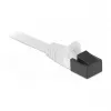 DeLOCK 86470 RJ45 kištukų apsauginiai dangteliai, juodi, 10 vnt.