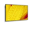NEC MultiSync M651-2 Kiosk dizainas 165.1 cm (65 colių) LED 500 cd/m² 4K Ultra HD Juoda Įmontuotas procesorius