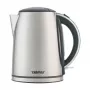 Elektrinis virdulys Zelmer ZCK7930 1,7L 2200W sidabrinis