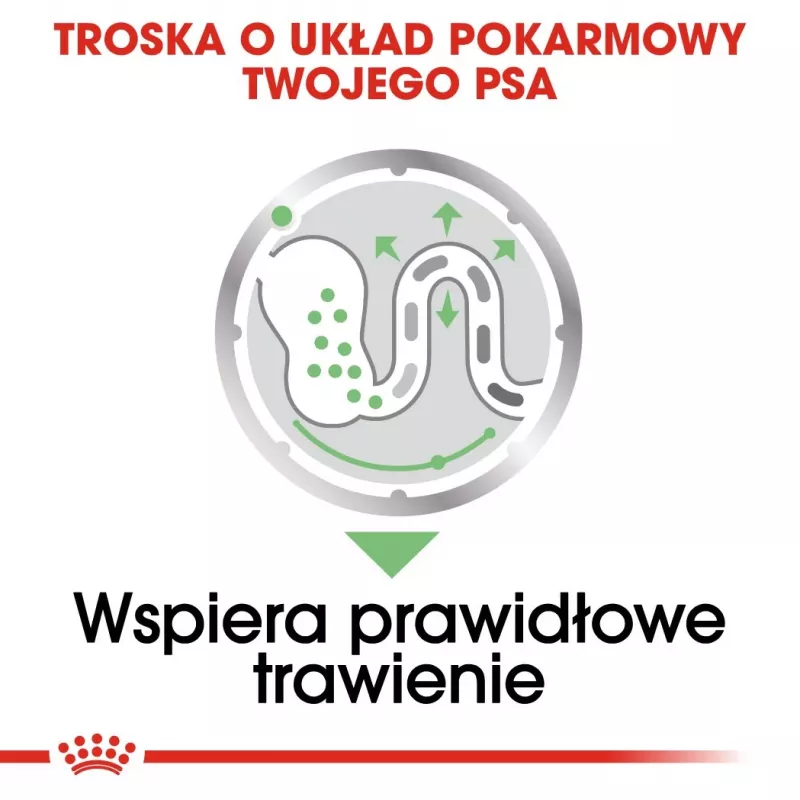 Šlapias šunų ėdalas Royal Canin Digestive Care Meat & Vegetable 12 x 85 g – suaugusiems šunims, virškinimo palaikymui