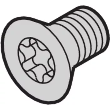 SCHROFF SCREW TORX CSK.M4X14 (100 VNT.) - stelažo priedas (24560145)