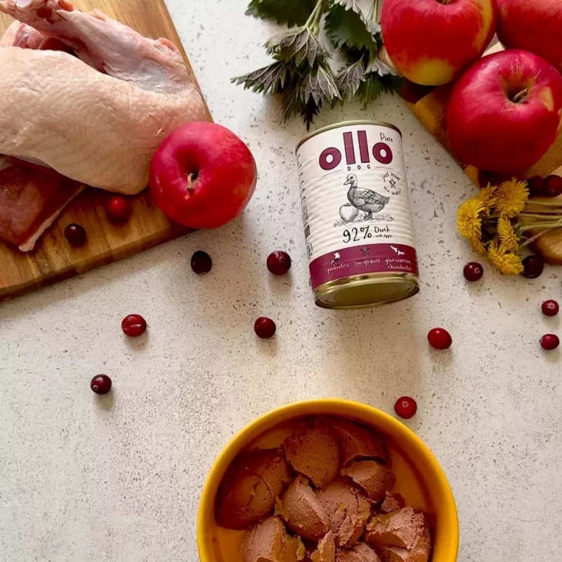OLLO Pure šlapias ėdalas šunims su antiena ir obuoliu – 400 g