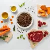 RAW PALEO Ultra Medium&Large Adult Beef - sausi šunų ėdalai - 10 kg