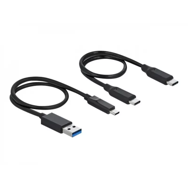 Kortų skaitytuvas DeLOCK USB Type-C CFast SD + USB šakotuvas