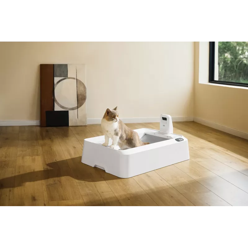 Savaime išsivalantis katės tualetas PETKIT T7-EU, baltas