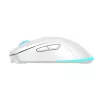 Pelė Baracuda Turtle BGM-122 balta TURTLE-W