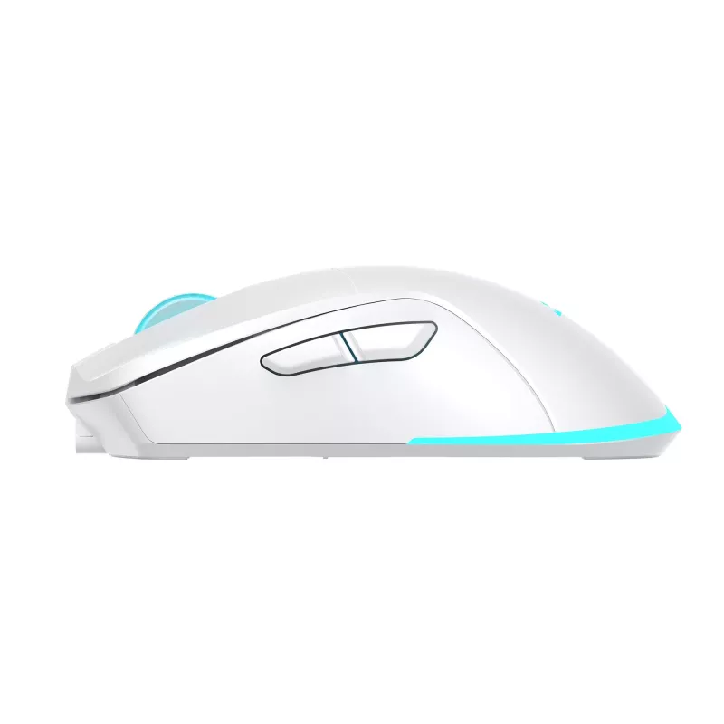 Pelė Baracuda Turtle BGM-122 balta TURTLE-W