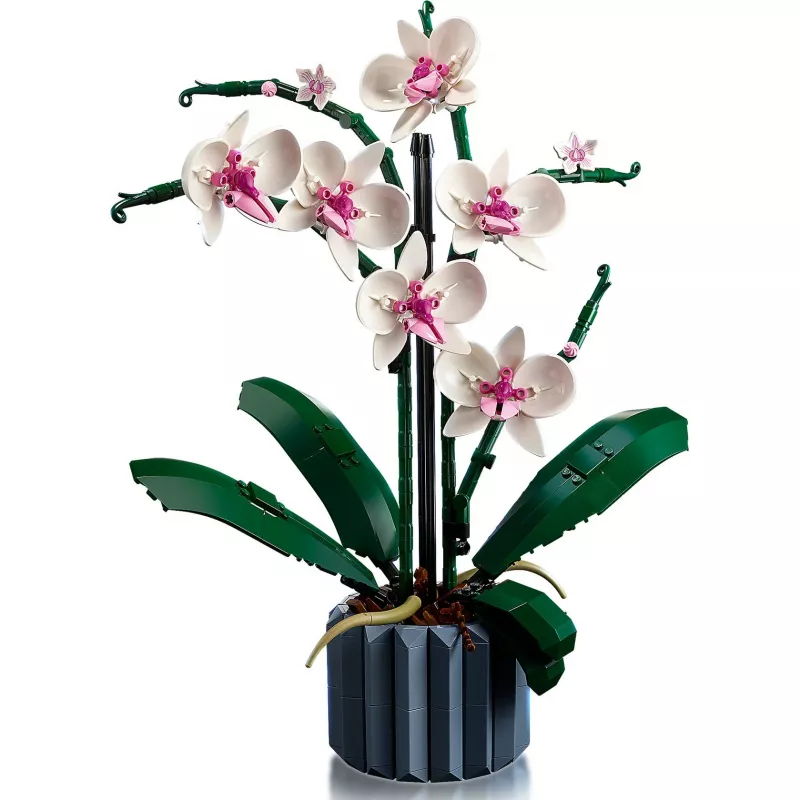 LEGO 10311 Icons Orchidėja – Dirbtinių Gėlių Konstruktorius Suaugusiems, Namų Dekoro Aksesuaras, Botaninė Kolekcija, Dovana Žmonai ar Vyrui