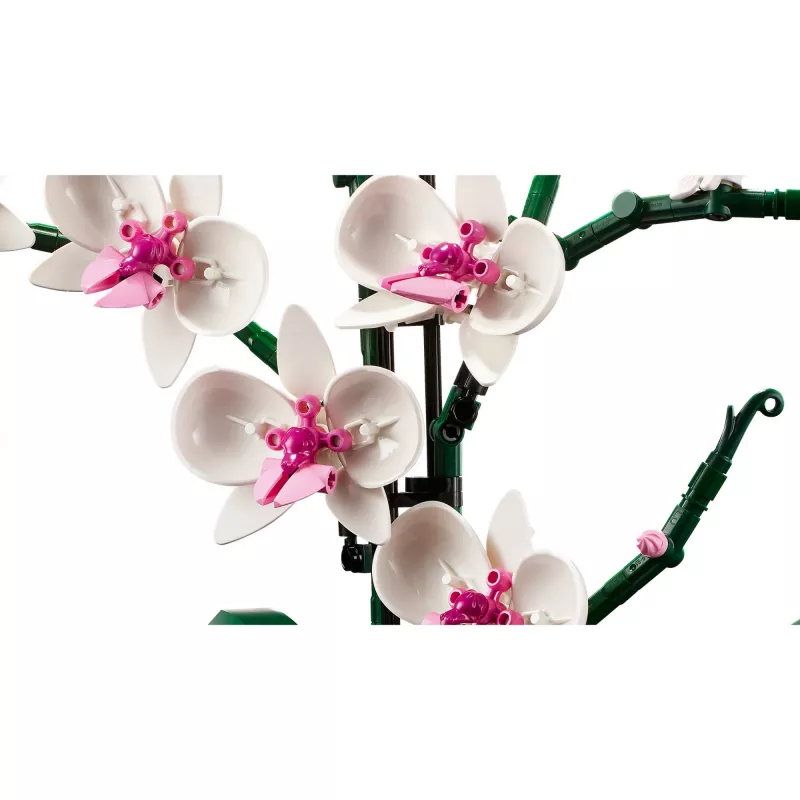 LEGO 10311 Icons Orchidėja – Dirbtinių Gėlių Konstruktorius Suaugusiems, Namų Dekoro Aksesuaras, Botaninė Kolekcija, Dovana Žmonai ar Vyrui