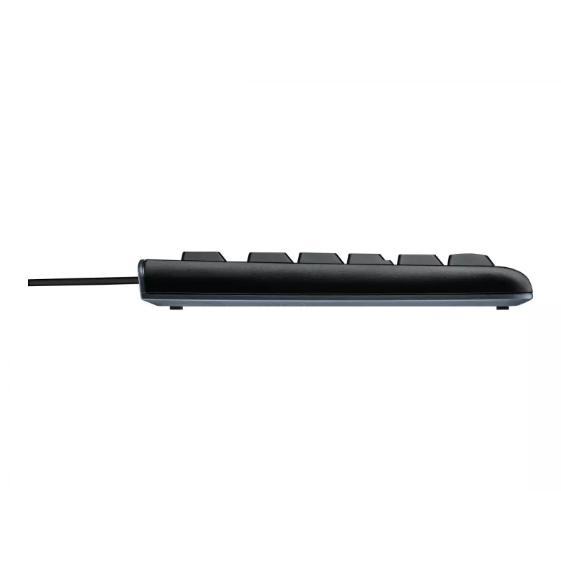 Logitech Desktop MK120 portugališkas išdėstymas PO (920-002547)