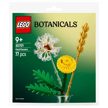 LEGO 30701 Botanicals Feldblumen, Konstrukcinis žaislas